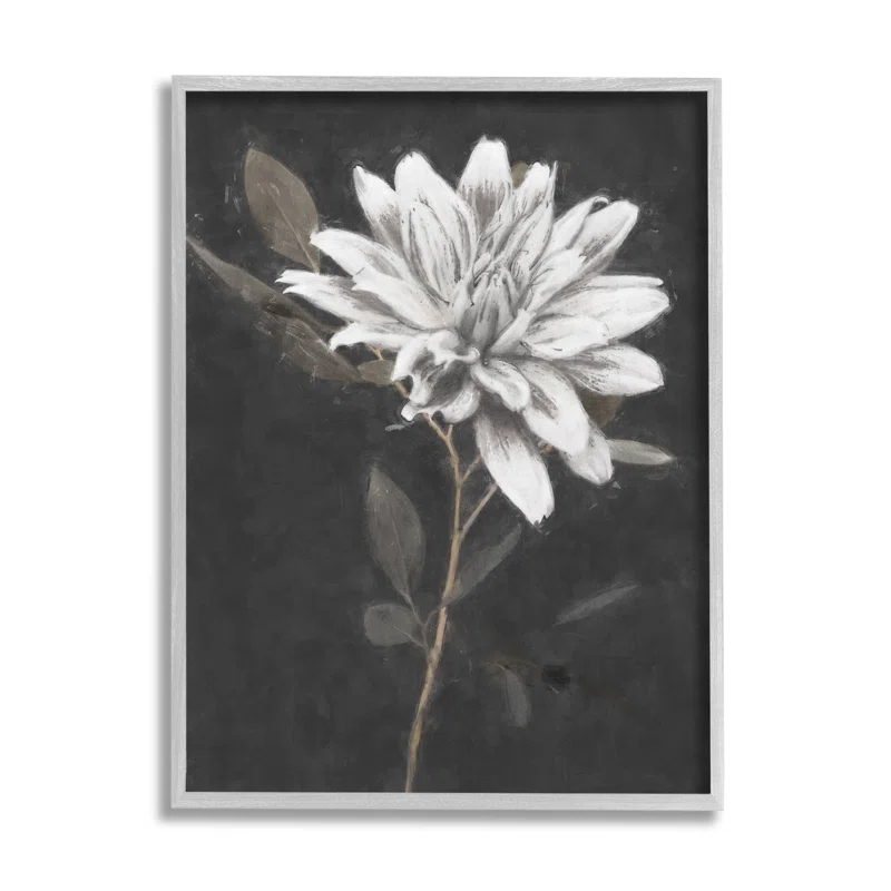 Stupell Industries " Blooming Dahlia Flower Black Background " by Nina Blue Painting Print