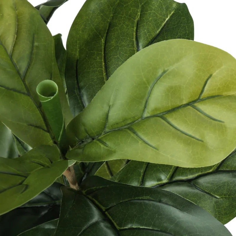 Primrue Fiddle Lifelike Tree, Indoor,Greenery, Potted, Real Touch, Decorative, Green Leaves, Black Pot