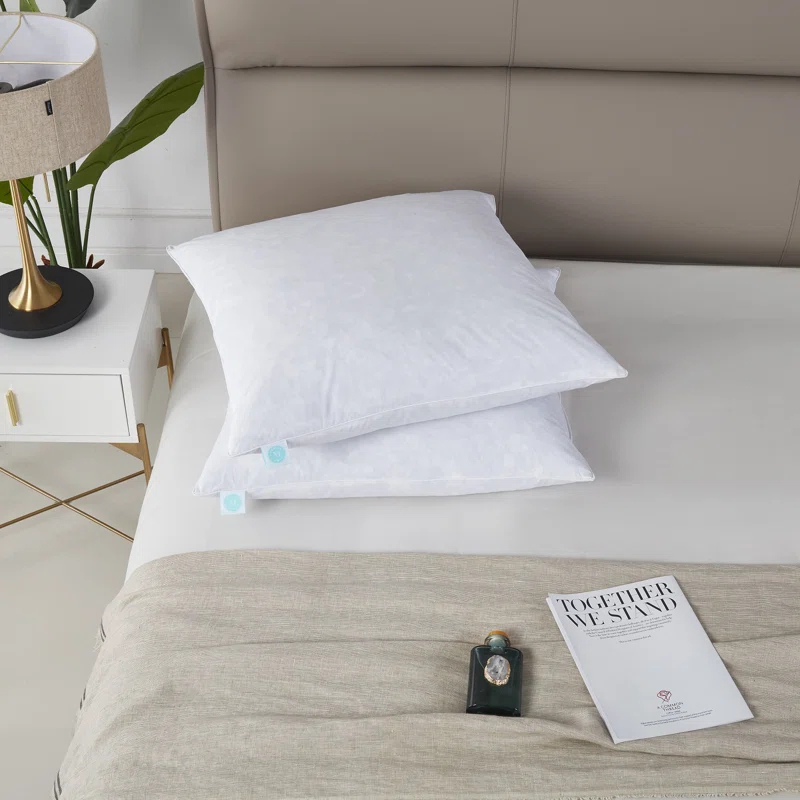 Martha Stewart Martha Stewart 20X20'' Decorative Feather Pillow Insert (2PK) - Medium Firm (Set of 2)
