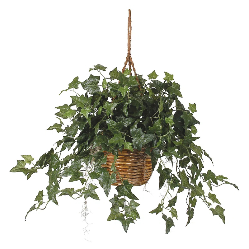 Gracie Oaks Nearly Natural English Ivy Hanging Basket