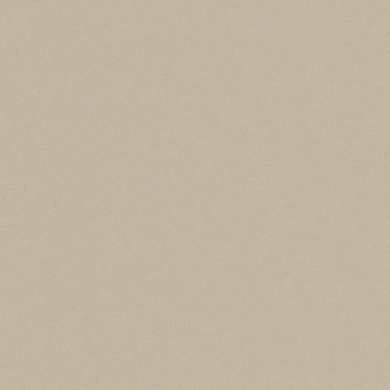 80'' Glass Aluminum Screen Doors