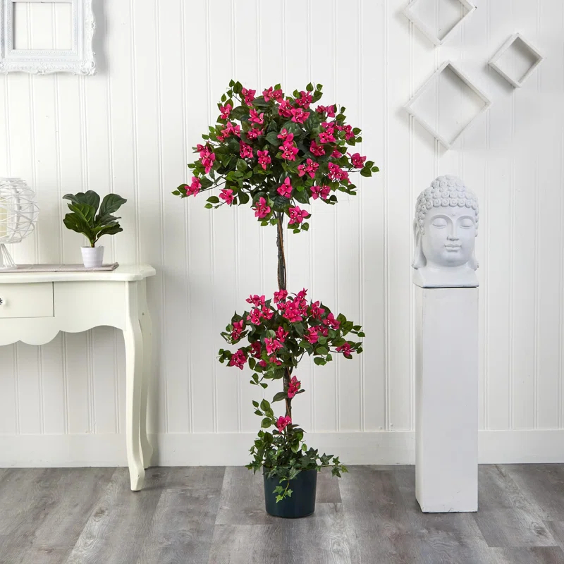 Primrue 5ft. Mini Bougainvillea Topiary