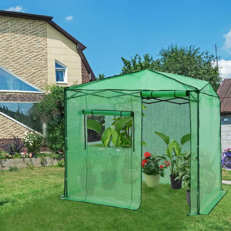 EAGLE PEAK Pop Up Greenhouses 8' X 6' Portable Instant Walk-In Garden Greenhouse & Reviews | Wayfair