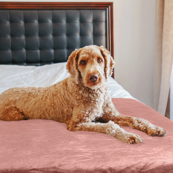 Petmaker PETMAKER 60x70in, 60x80in, 80x100in Water-Resistant Dog Blanket