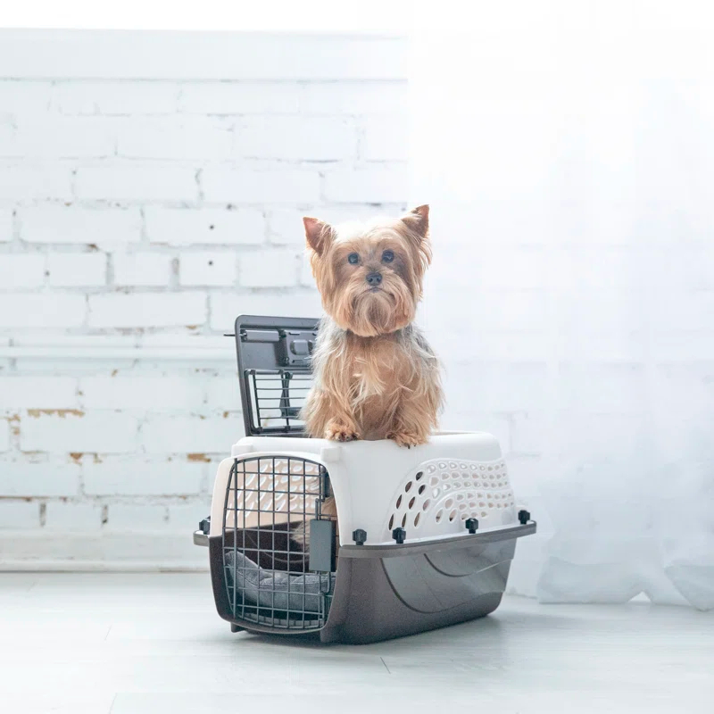 Petmate Plastic Pet Carrier with 1 Door