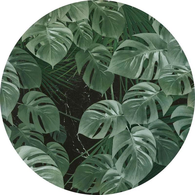 Komar Novel Monstera Non-Woven Dot Wall Decal | Wayfair