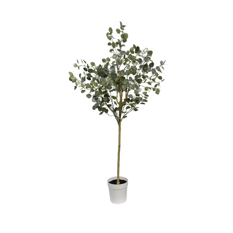 Algreen Eucalyptus Tree