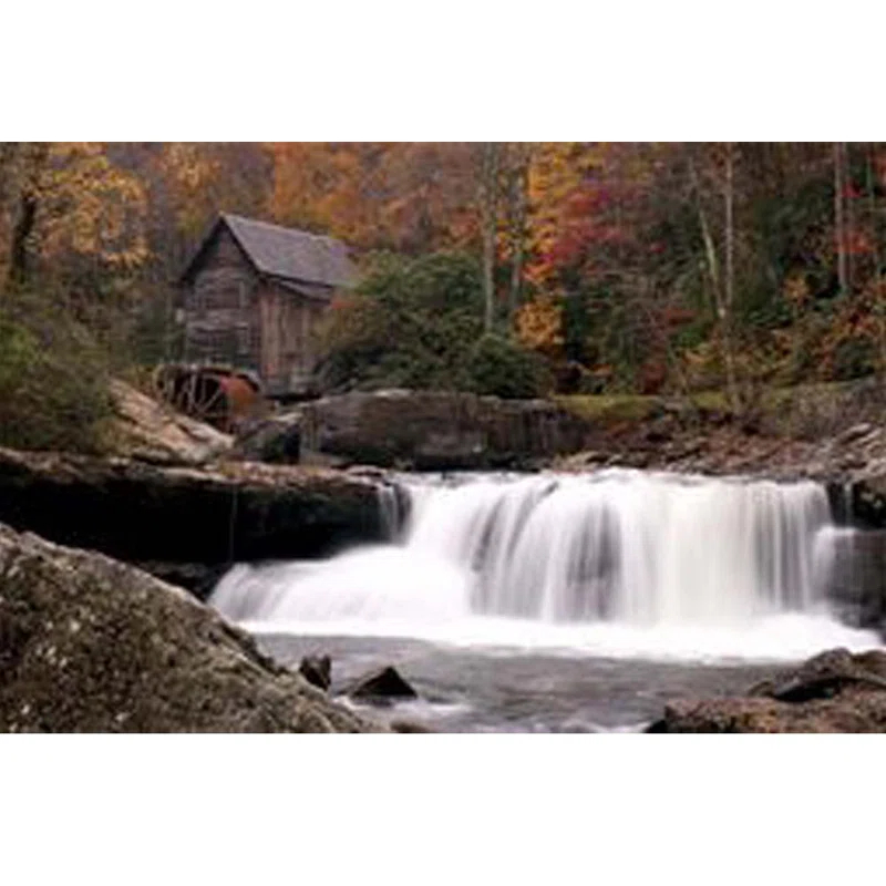 Wallhogs Plants & Flowers Non-Wall Damaging Wall Decal