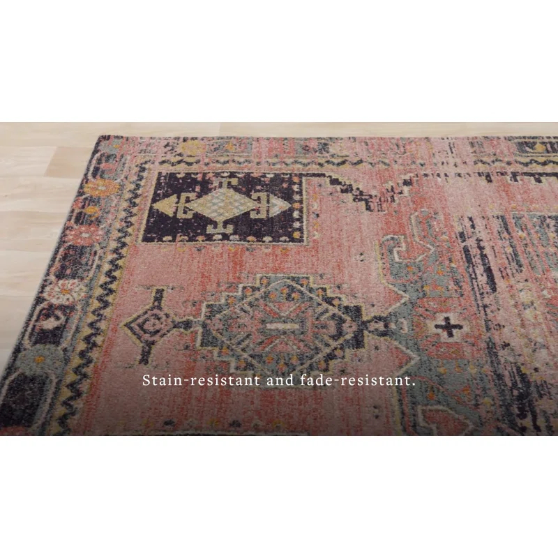 Kelly Clarkson Home Colette Oriental Indoor Rug