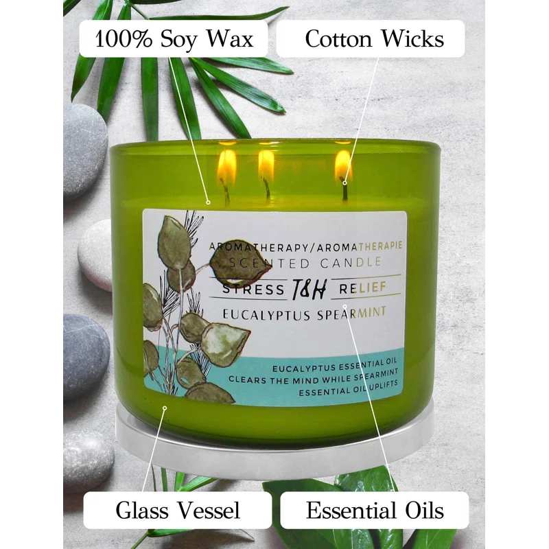 T&H Wholesalers Eucalyptus Spearmint Scented Soy Candle 3 Wick Aromatherapy Candle for Women and Men