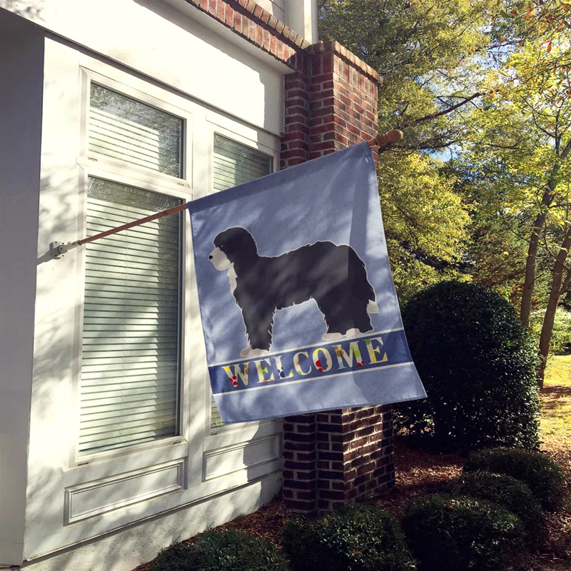 Caroline's Treasures Double Sided 40'' H x 28'' W Polyester House Flag