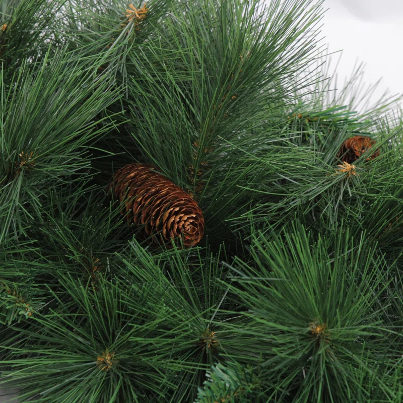 Northlight Seasonal Canyon Pine Mixed Artificial Christmas Wreath - 36-Inch Unlit