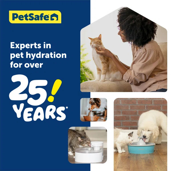 PetSafe PetSafe Viva Pet Fountain, Plastic Tray