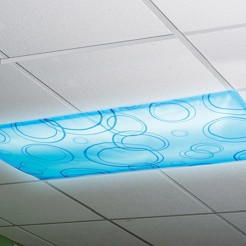 Educational Insights Fluorescent Light Filter (Set of 2)