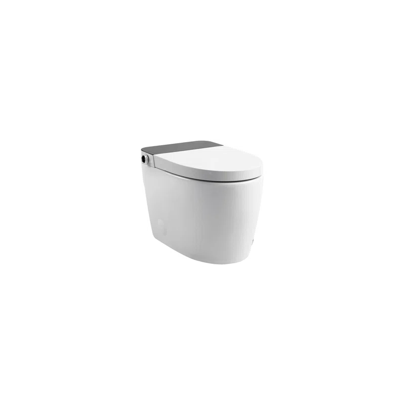 VIBRANTBATH 1.1 Gallons GPF Elongated Bidet Toilet (Seat Included)