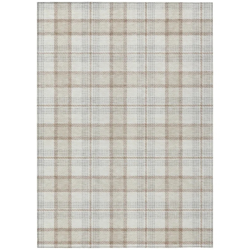 Machine Washable Indoor/Outdoor Chayden ACN1052 Rug