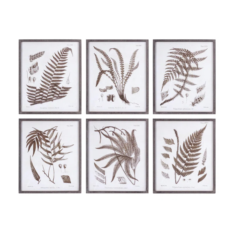 Love Happy Creations LLC " Fern " 6 - Pieces (Set of 6)