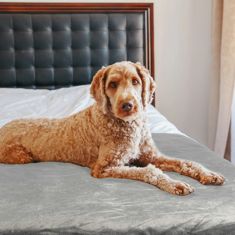 Petmaker PETMAKER 60x70in, 60x80in, 80x100in Water-Resistant Dog Blanket