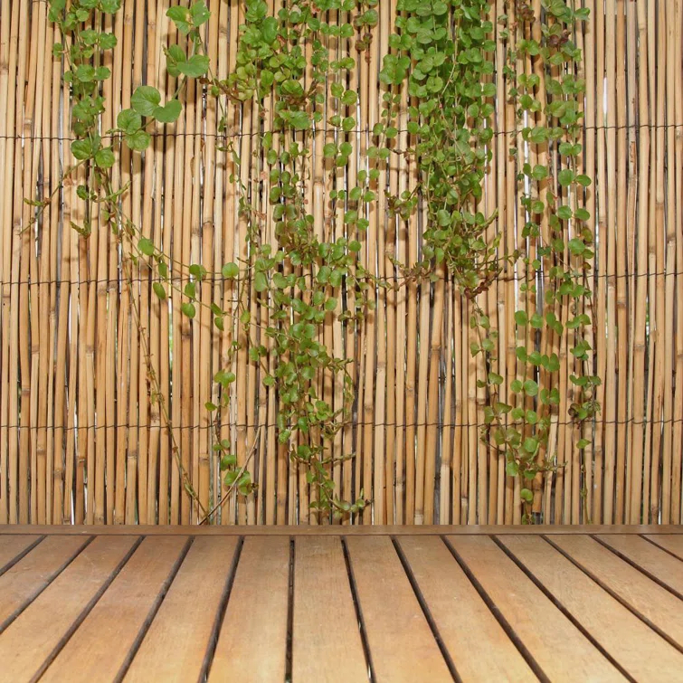 Backyard X-Scapes 6 ft. H x 16 ft. W Natural Jumbo Reed Fence Decorative Garden Fencing Divider