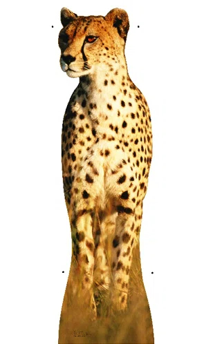 Cheetah Life-Size Cardboard Stand-Up