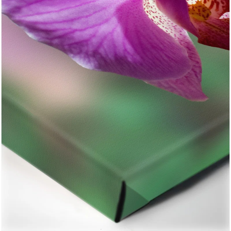 Artful Printers Orchid - Wrapped Canvas Photograph Print | Wayfair