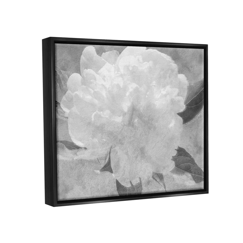Stupell Industries " White Flower Blossom Monochrome " by Lil' Rue