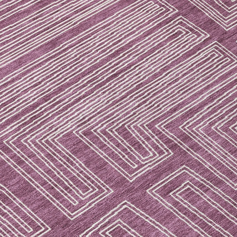 Machine Washable Indoor/Outdoor Chayden ACN1045 Eggplant Rug
