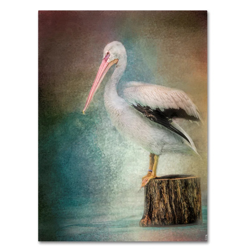 Trademark Fine Art Jai Johnson " Perched Pelican " by Jai Johnson