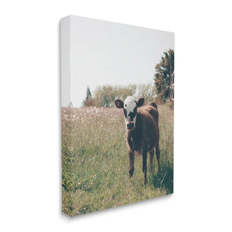 Stupell Industries Au-902-Canvas " Cow Calf Rural Farm Meadow " by Krista Broadway