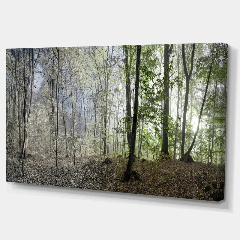 Design Art " Green Morning In Forest Panorama "