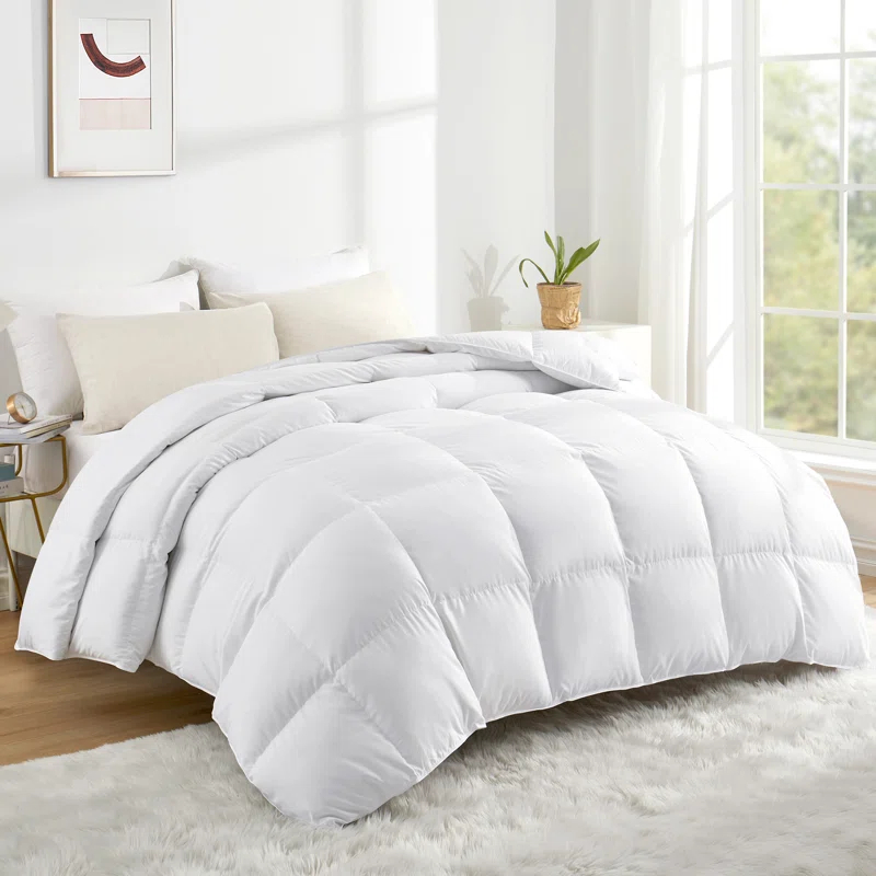 Alwyn Home 600in³/oz Fill Power Winter Goose Down Comforter