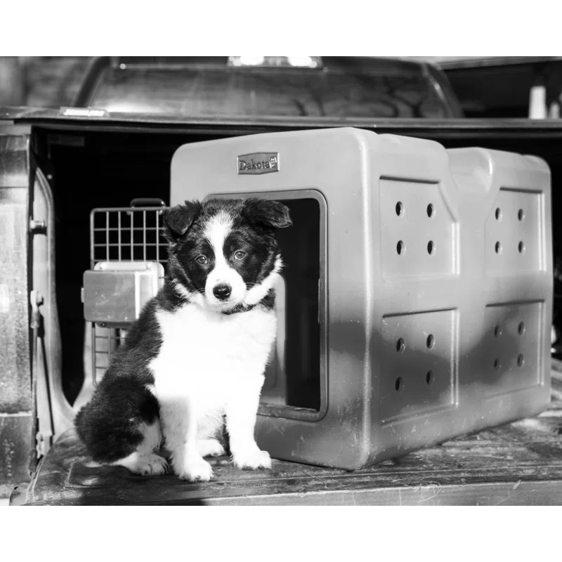 Dakota 283 G3 SMALL Plastic Pet Crate with 1 Door