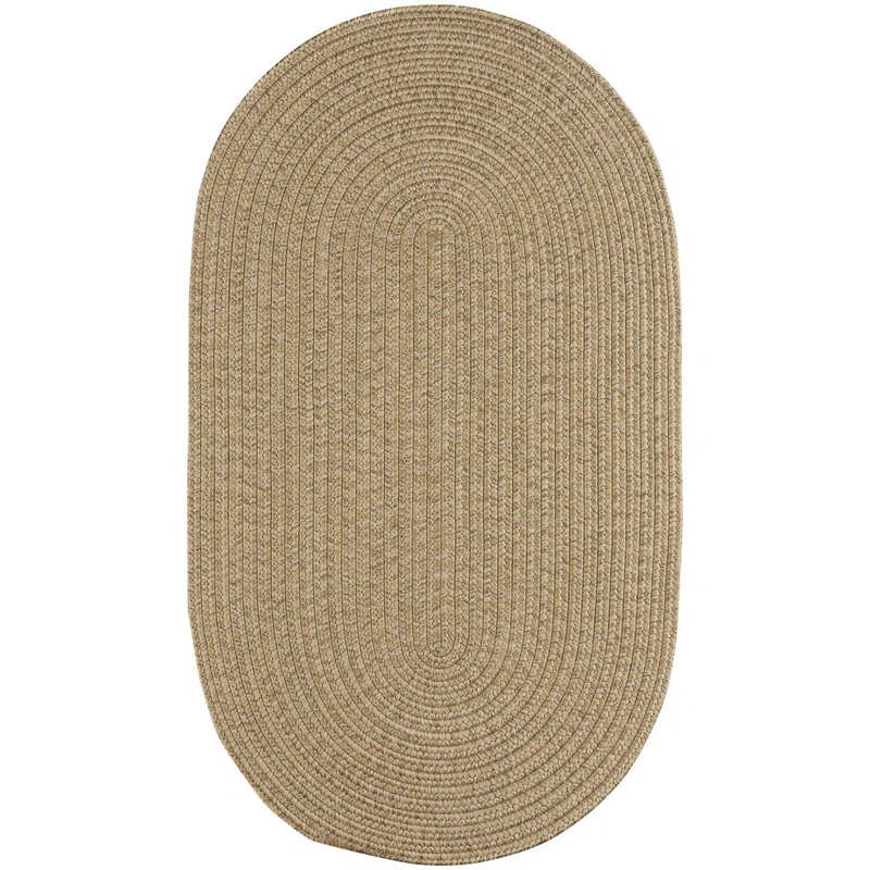 Highland Dunes Coronado Braided Tan Area Rug