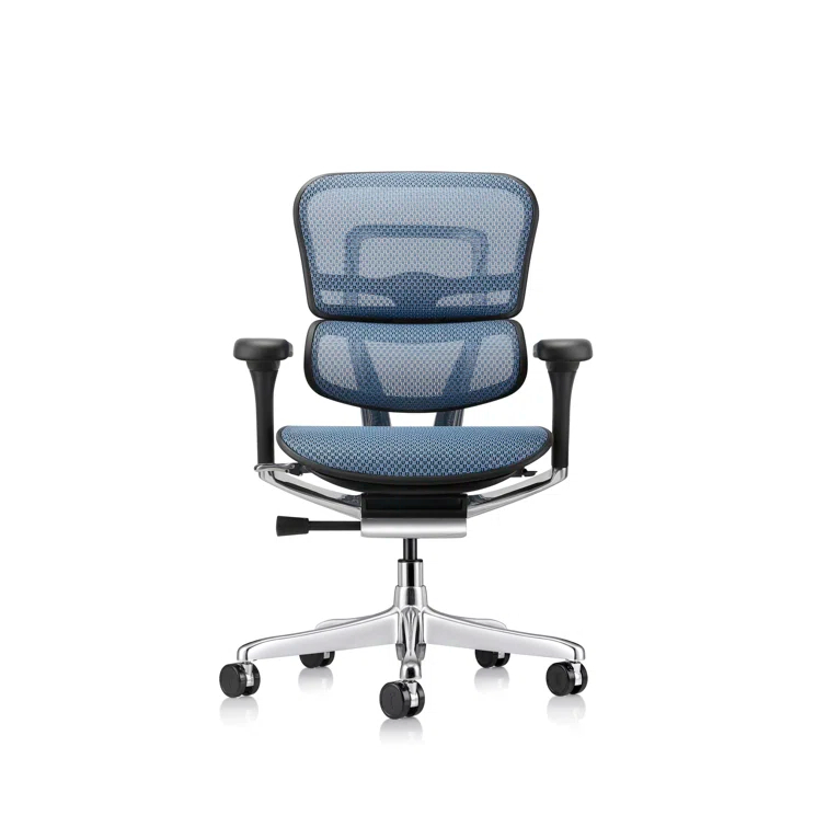 Eurotech Seating Ergohuman Task Chair