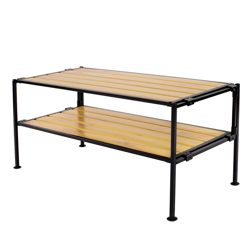 2-Tier (6 Pair) Resin Shoe Storage Rack