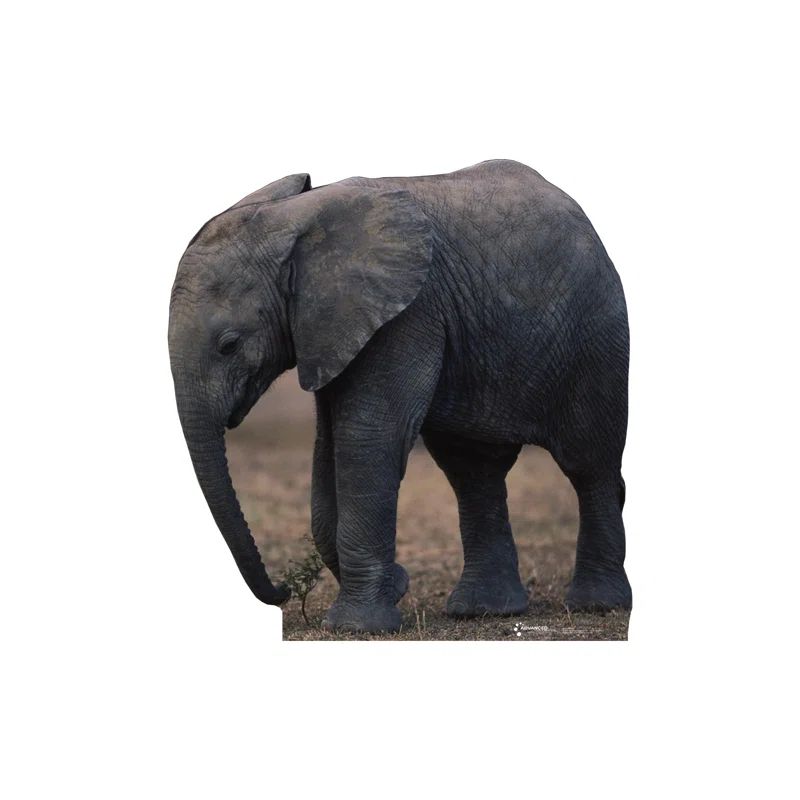 Advanced Graphics Animals 55'' Animals Cardboard Standup