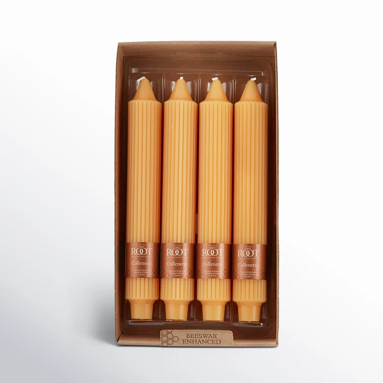 Root Candles Grecian Collenette Unscented Taper Candle & Reviews | AllModern