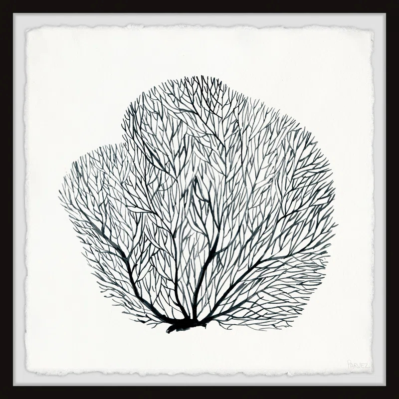 Parvez Taj " Sea Fern " by Parvez Taj