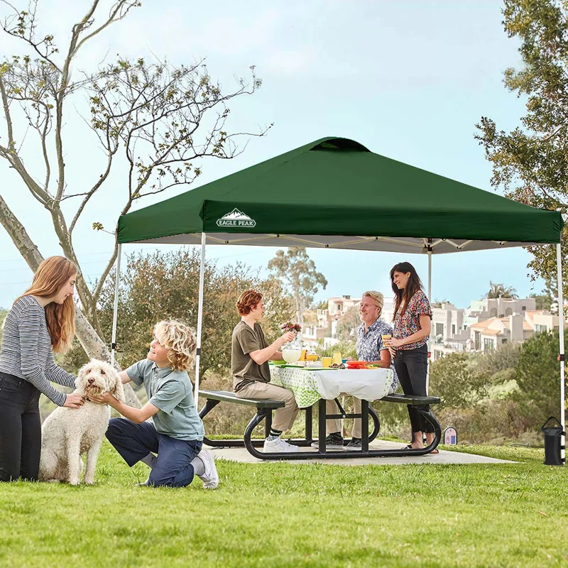 Pop Up Canopies 10 Ft. W x 10 FT. D Metal Party Tent Canopy