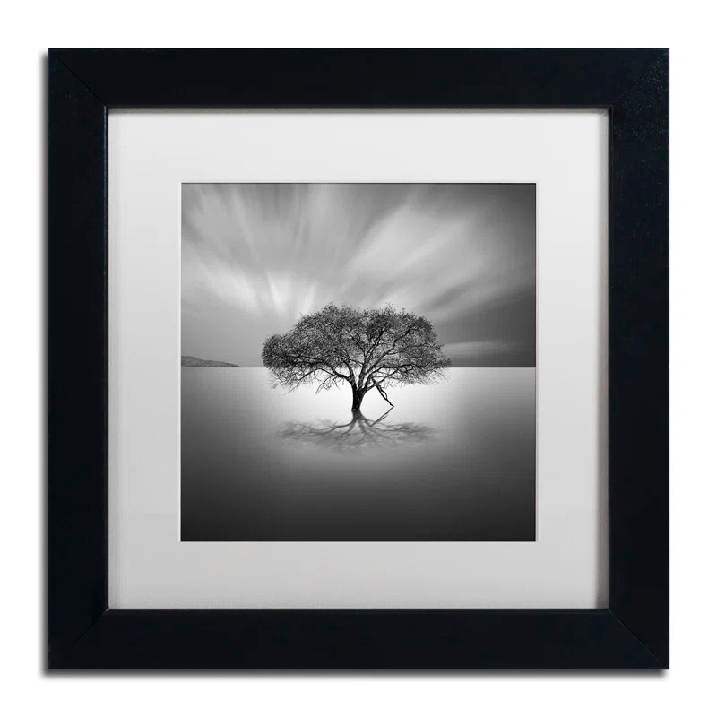Trademark Fine Art Water Tree VIII Framed Photographic Print on Canvas & Reviews | Wayfair