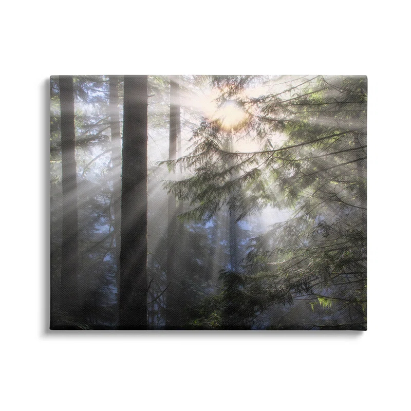 Stupell Industries Au-821-Canvas " Forest Sun Rays Nature Scenery " by Dennis Frates