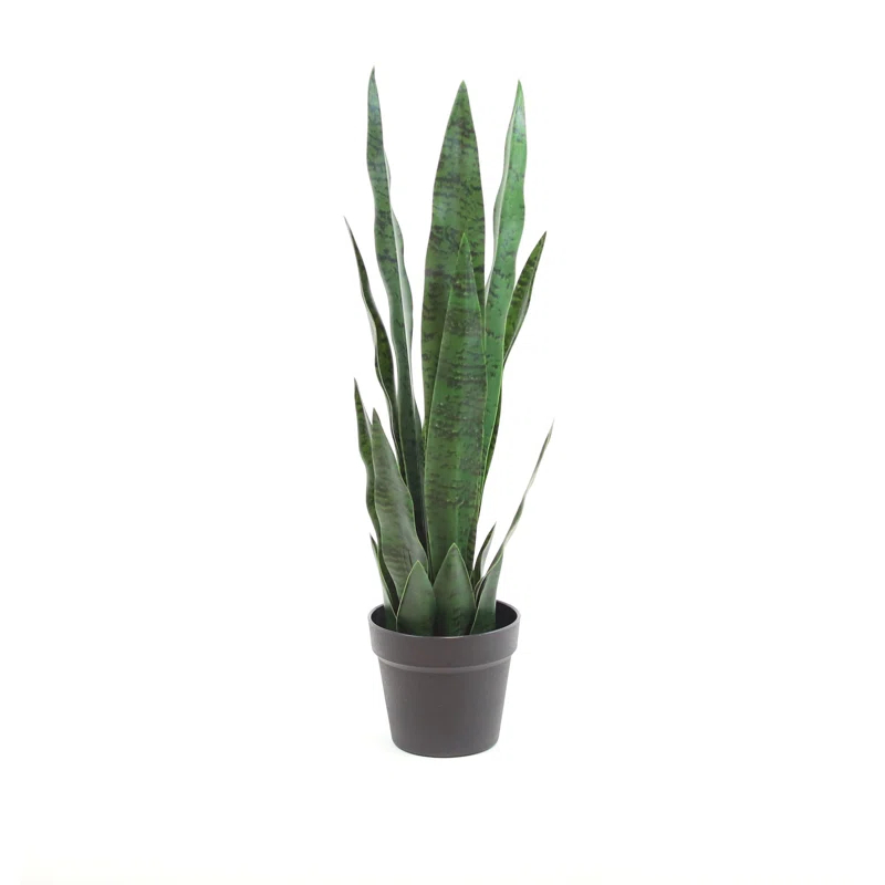 Primrue Faux Snake Plant (Sansevieria) Tree in Pot Liner