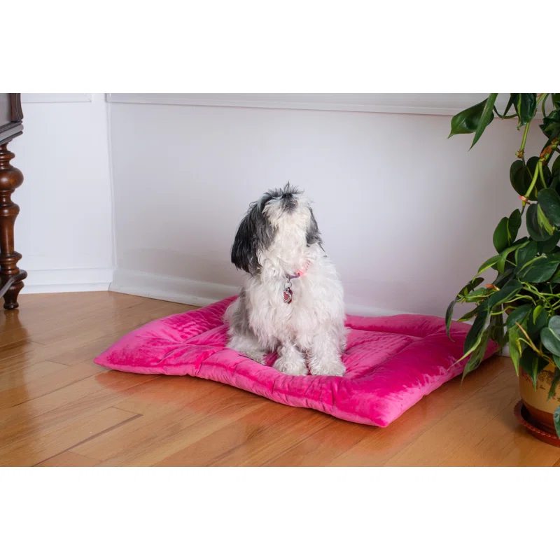 Armarkat Velvet Pet Bed