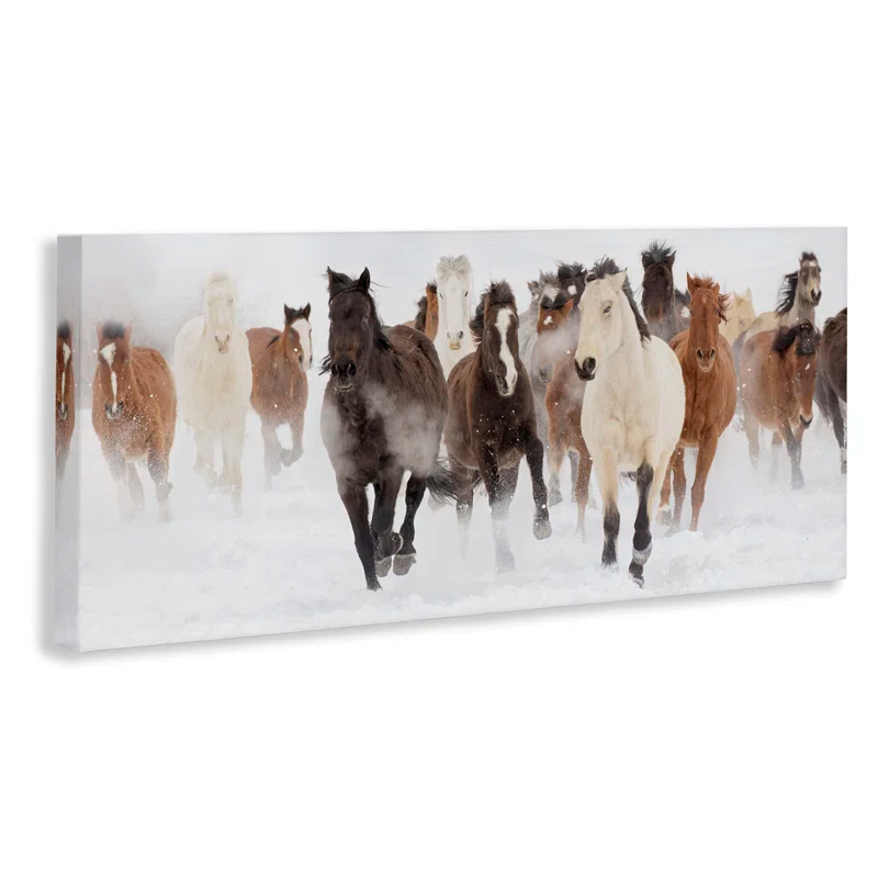 Stupell Industries Wild Horses Herd Foggy Winter Day Running Snow by Danita Delimont - Painting