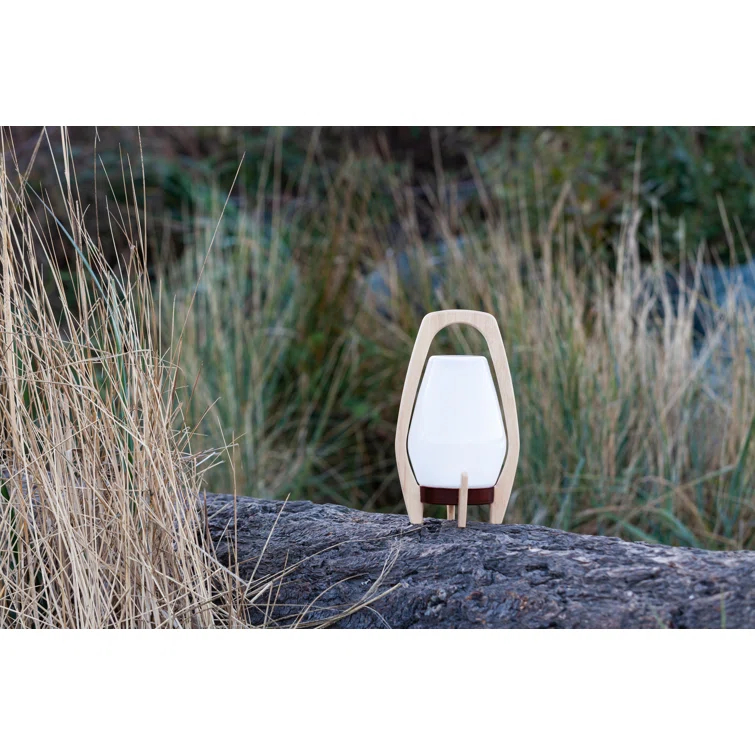 Allsop Home and Garden 12.25'' Battery Powered