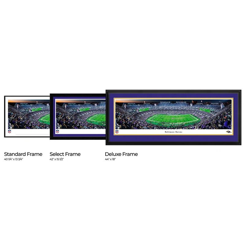 Blakeway Worldwide Panoramas, Inc " Baltimore Ravens " by James Blakeway