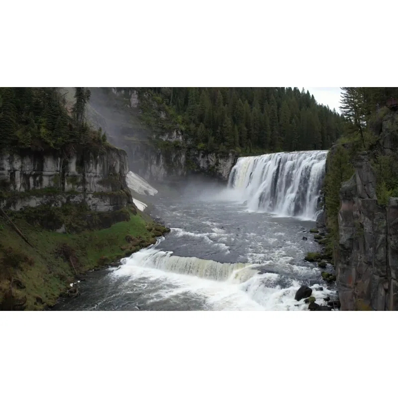 Moen Spring Loaded Push Button Bathroom Drain Assembly, Without Overflow