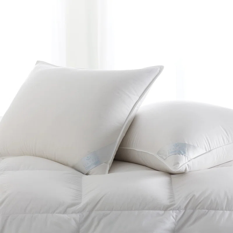 Scandia Home Copenhagen Firm Down Sleep Support Pillow | Wayfair