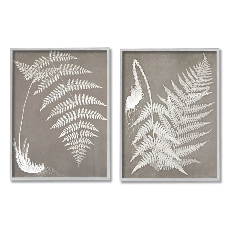Stupell Industries " Detailed Fern Plant White Botanical Herb Roots " by Graffitee Studios 2 - Pieces