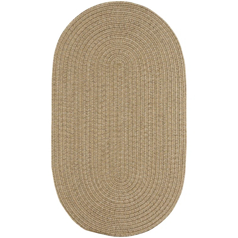 Highland Dunes Coronado Braided Tan Area Rug